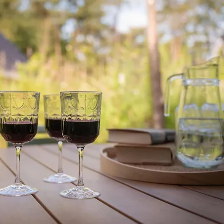Luxe Vakantiehuis In Het Bos | Veluwe | Ruwe Iep Nunspeet