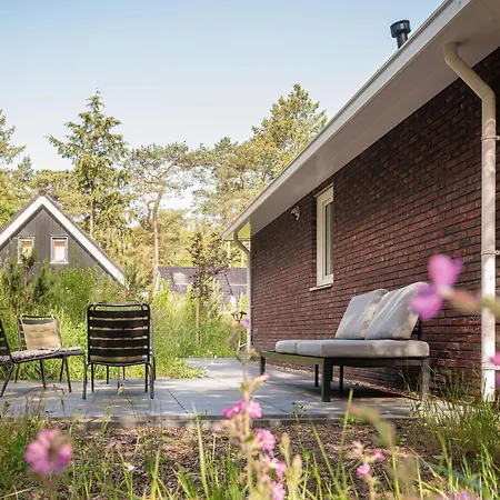 Luxe Ruwe Iep Veluwe Tatil Evi *