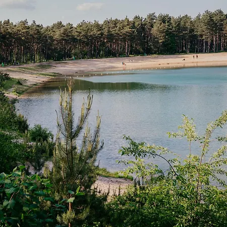 Ferienhaus Luxe Vakantiehuis In Het Bos | Veluwe | Ruwe Iep