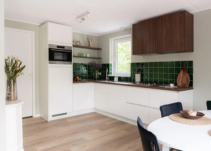 Luxe Ruwe Iep Veluwe Semesterbostad