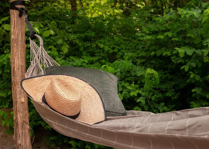 Luxe Ruwe Iep Veluwe Semesterbostad