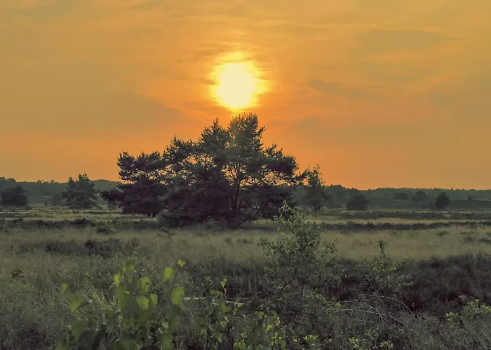 Semesterbostad Luxe Ruwe Iep Veluwe *