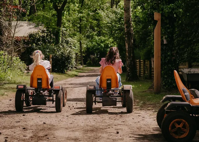 Luxe Ruwe Iep Veluwe *