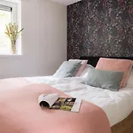 Luxe Ruwe Iep Veluwe *