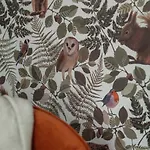 Luxe Ruwe Iep Veluwe * ヌンスペート