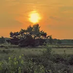 別荘 Luxe Ruwe Iep Veluwe *