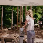 Luxe Ruwe Iep Veluwe