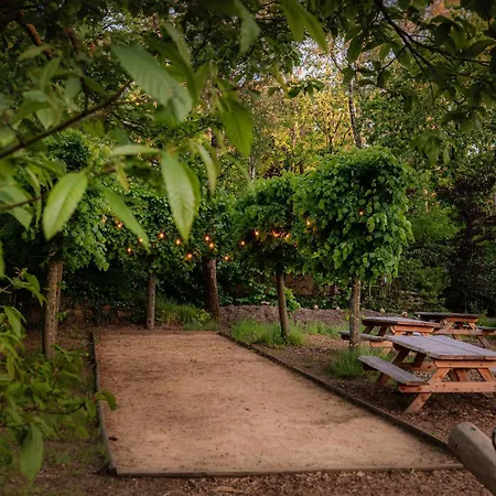 Luxe Ruwe Iep Veluwe Holiday home *