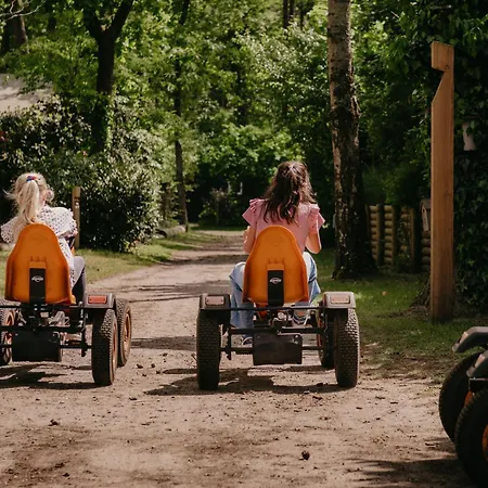 Luxe Ruwe Iep Veluwe *