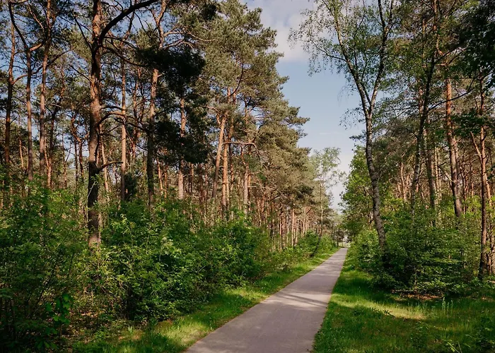 Luxe Ruwe Iep Veluwe Holiday home Nunspeet