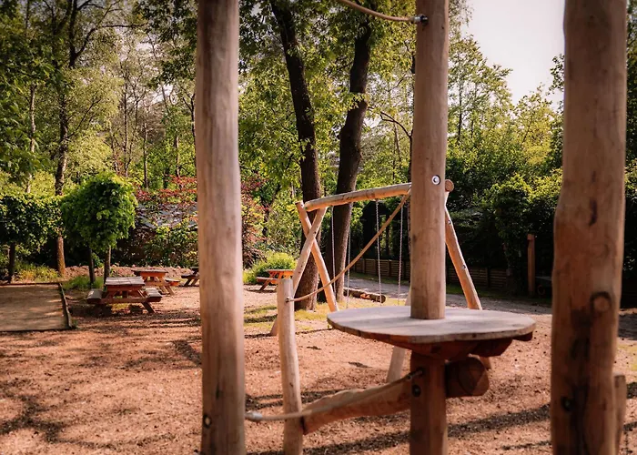 Luxe Ruwe Iep Veluwe Nunspeet